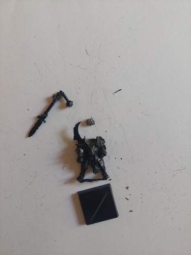 Chaos champion nurgle - champion,