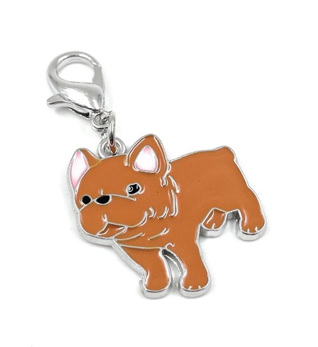 Bouledogue orange chien - bouledogue,