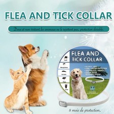 collier anti tiques et puces