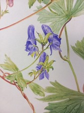 Paul Seguin-Bertault