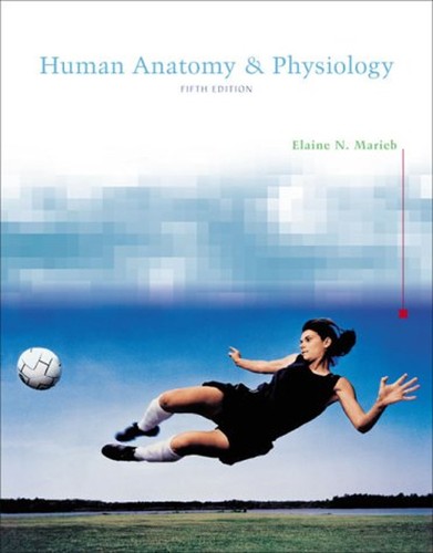Anatomie humaine - anatomie, et