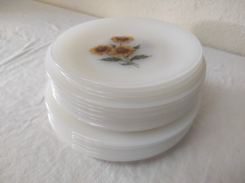 Lot assiettes plates - assiettes, +