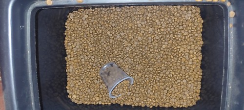 Croquettes chien ultra - croquettes,