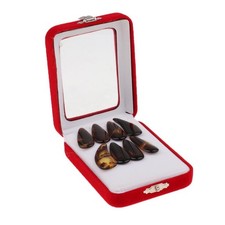 1 paquet de 8 pièces
