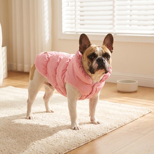 Manteau chaud pour - pour, chien