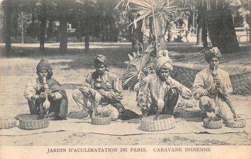 Jardin acclimatation de - jardin,
