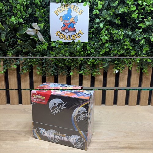 Pokémon display 36 - pokémon,