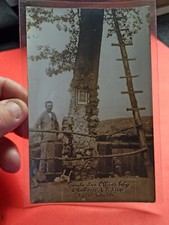 CPA - ww1 Tombes d'un officier