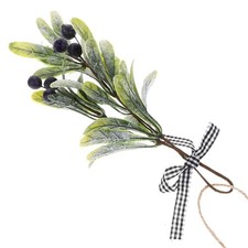  Mistletoe with Berries