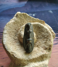 RRR  / Amulette Gauloise /