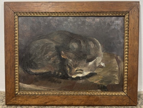 Ravissant chat endormi huile