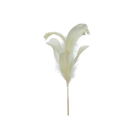 Pique plume volaille - plume,