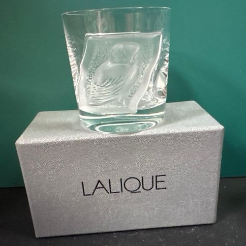 Boîte verre saké - à,