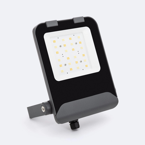 Projecteur led 50w elite - projecteur,