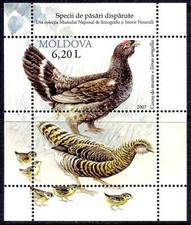 Moldavie 2007 Oiseaux Grand