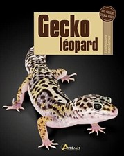 Gecko léopard