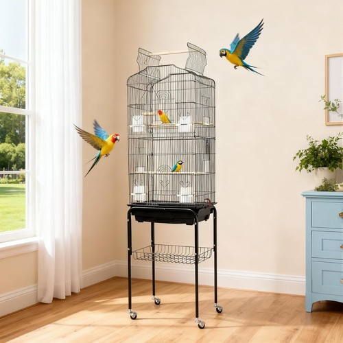 Grande cage oiseaux - à, à