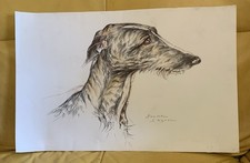 Dessin animalier lévrier par - animalier,