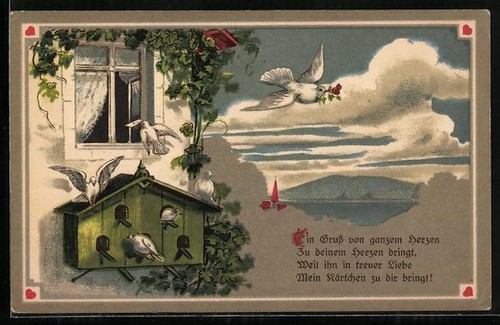 Carte postale pigeon voyageur