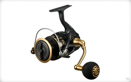 Daiwa moulinet spinning sw - daiwa,