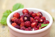 250 Graines FRAISE DES BOIS