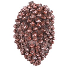  Boîtes À Clés Cachées