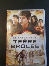 dvd Le Labyrinthe - La Terre Brûlée.