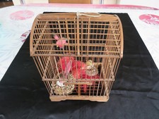 Oiseaux ! Cage ! Décoration !