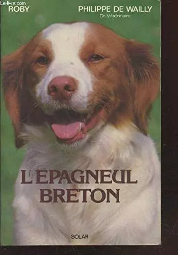 Epagneul breton roby wailly - roby,