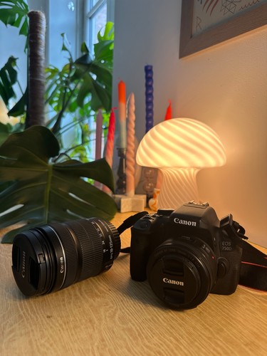 Canon eos 750d mpix - 24,2,