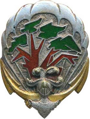 Régiment interarmes - 1°,