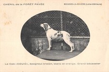 CPA 44 MESDON LA RIVIERE / KENIL DE LA FORET PAVEE / LE COB COUIC / EPANIUL