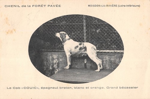 Cpa moisdon riviere - 44,