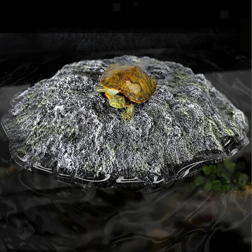 Aquarium pour tortues - aquarium,