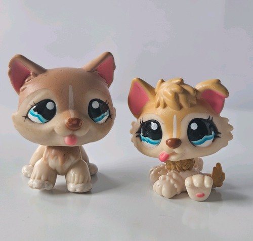 Lot pet shop - lot, maman