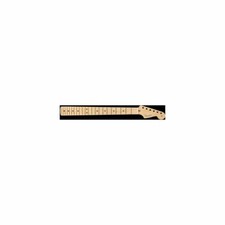 FENDER American Professional