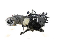 Moteur (Honda - Vision 50 2012 - 2018)