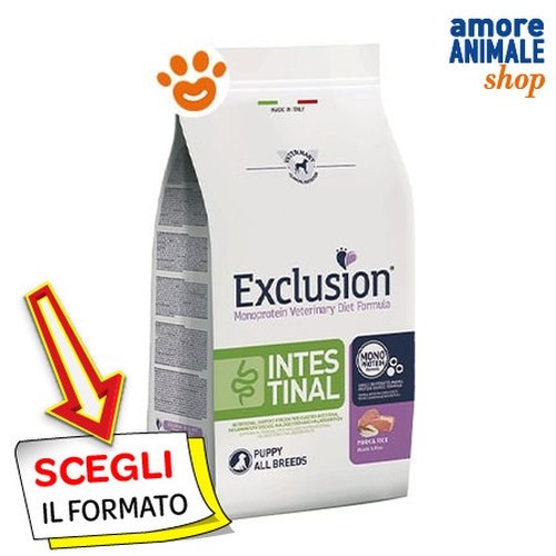 Exclusion chien intestinal - exclusion,
