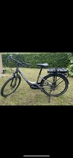 vélo électrique trek tm1+