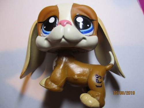 Petshop chien basset hound - petshop,