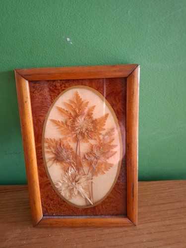 Herbier encadre - herbier,