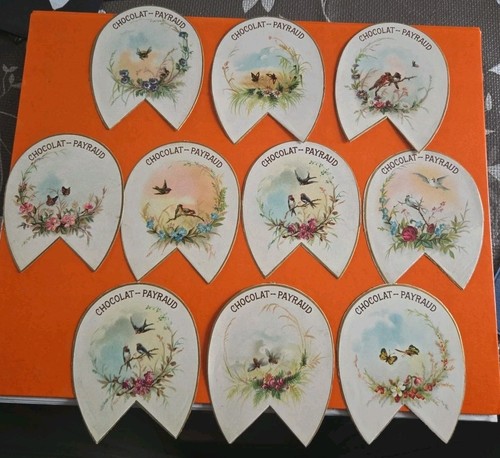 Chromos chocolat payraud lot - chocolat,