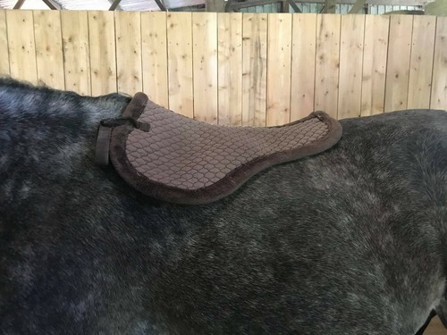 Materiel equitation
