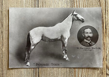 Vintage Postcard RPPC Horse Princess Trixie W. Harrison Barnes British Circus