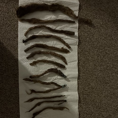 Human hair dreads - human,