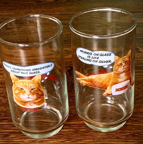 1981 morris the cat - the,