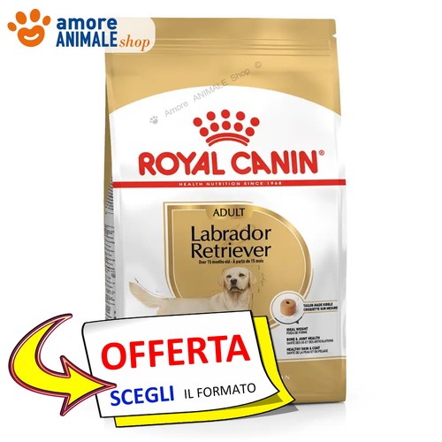 Royal canin chien - →, adult