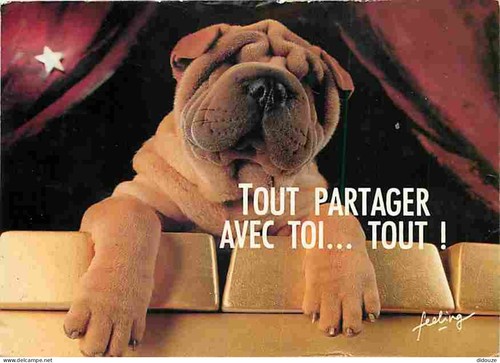 Carte postale animaux - carte,