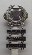 U.S. Army Basic Qualification