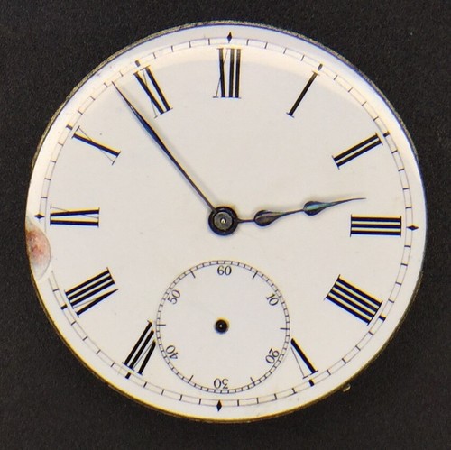 Swiss half hunter - half,
